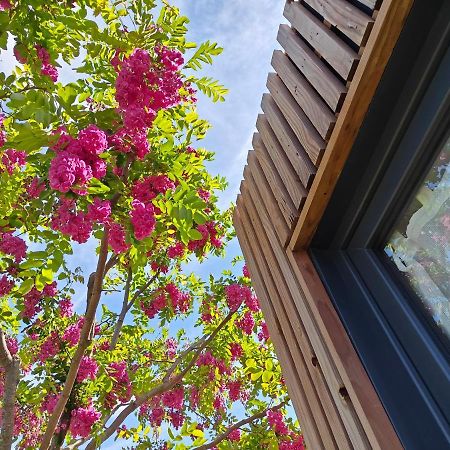 La Cabane De Lili Prune Goudargues Exteriér fotografie