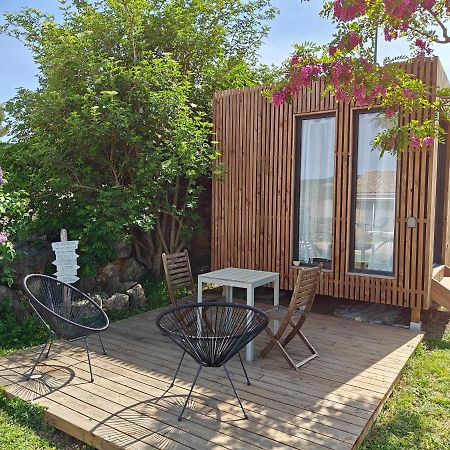 La Cabane De Lili Prune Goudargues Exteriér fotografie
